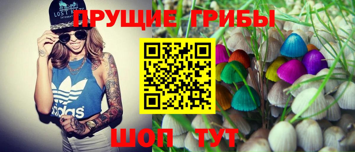 Ногинск  Галлюциногенные грибы Psilocybe  Вход с VPN 