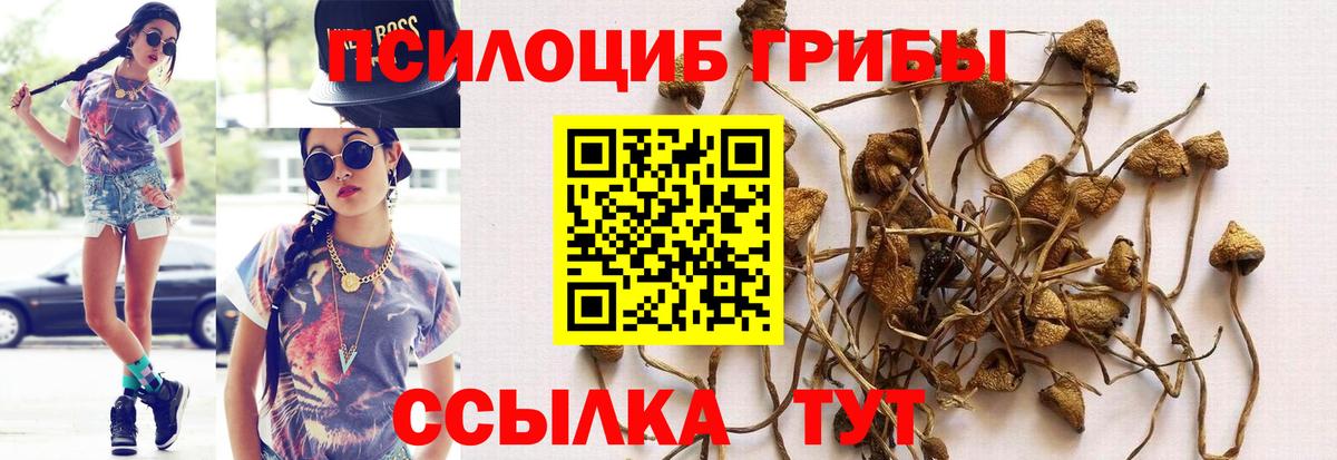 Галлюциногенные грибы Cubensis Ногинск